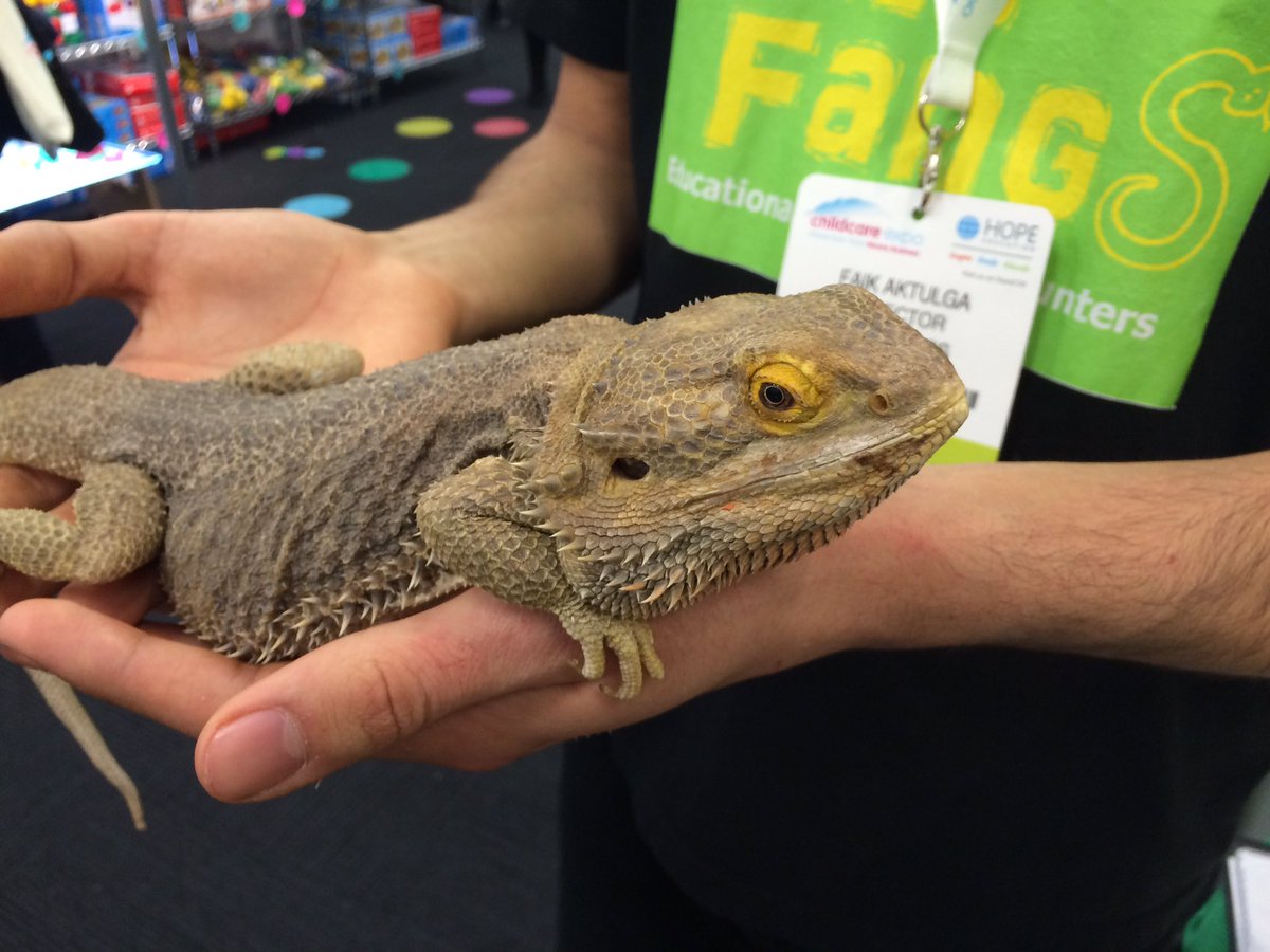scribblebuster's tweet photo. Making cool new friends ... #childcareexpo #wildfangs https://t.co/KBRkLWA2VX