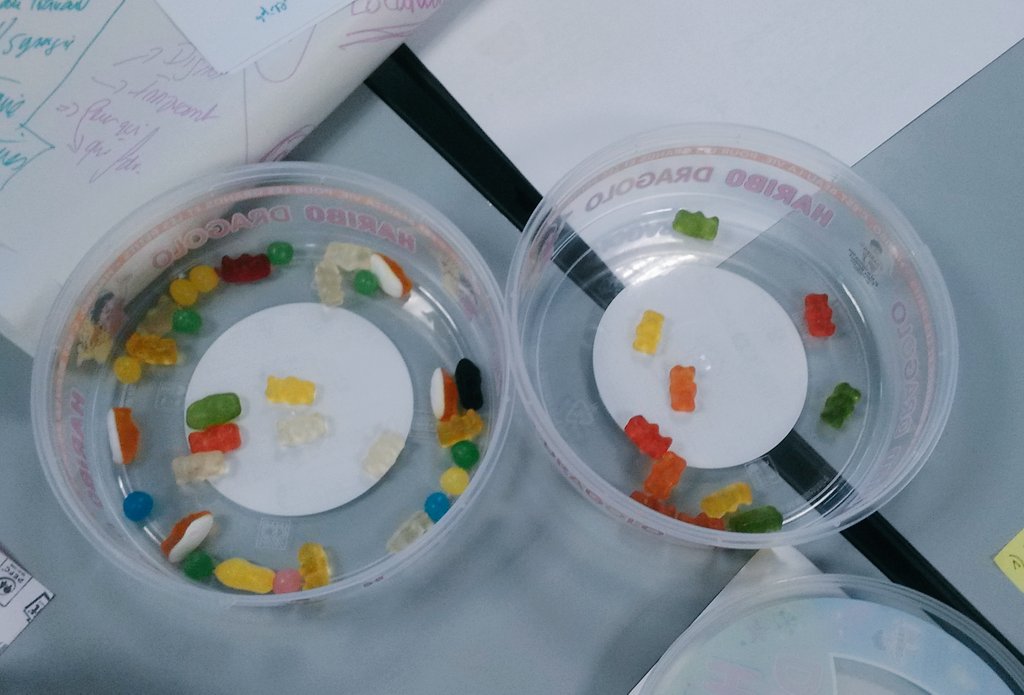 DC_Bootcamp7's tweet image. Maquetter avec des @HariboFR, ça creuse!
#dc_bootcamp 
@DraftAndCraft