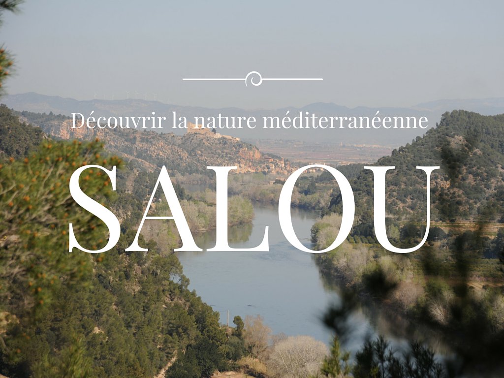 Locatour's tweet photo. Partez pour du tourisme vert autour de #Salou ! 👍👌😉☀

https://t.co/0tDMcd1WuW https://t.co/v8sFFAFYvG