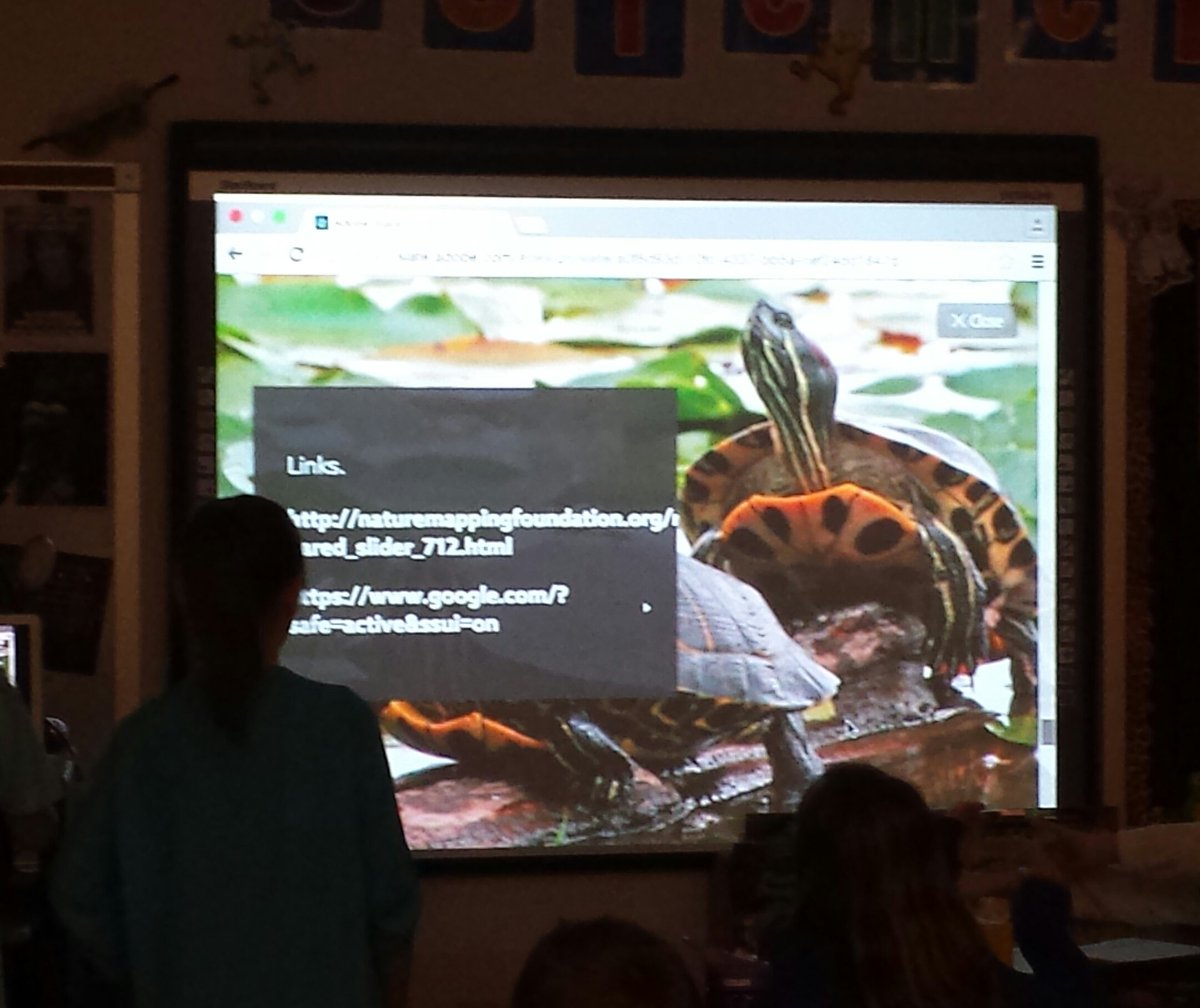 More choice and voice! Lovejoy Elementary Science 4th grade student chooses Adobe Slate for their presentation tool.