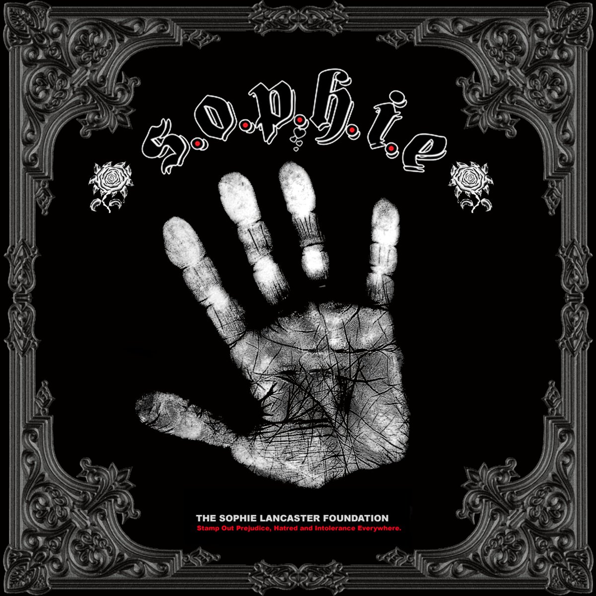 Martin Wake tweet media