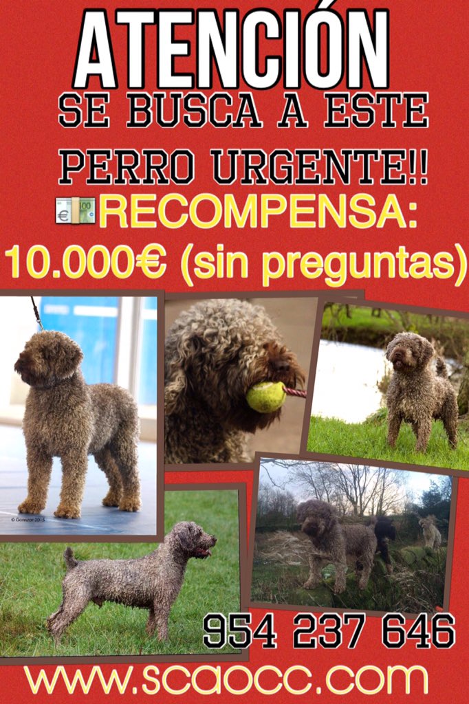 agilityalamillo's tweet image. Por favor RT