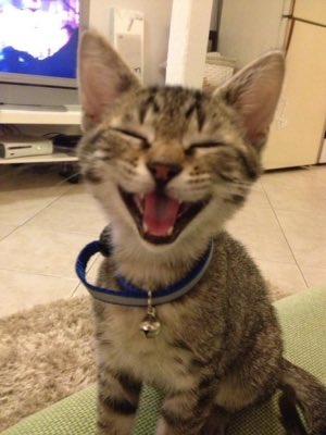 NYMinuteMag's tweet photo. TGIF! #FridayFeeling https://t.co/Cr46vn3ULV