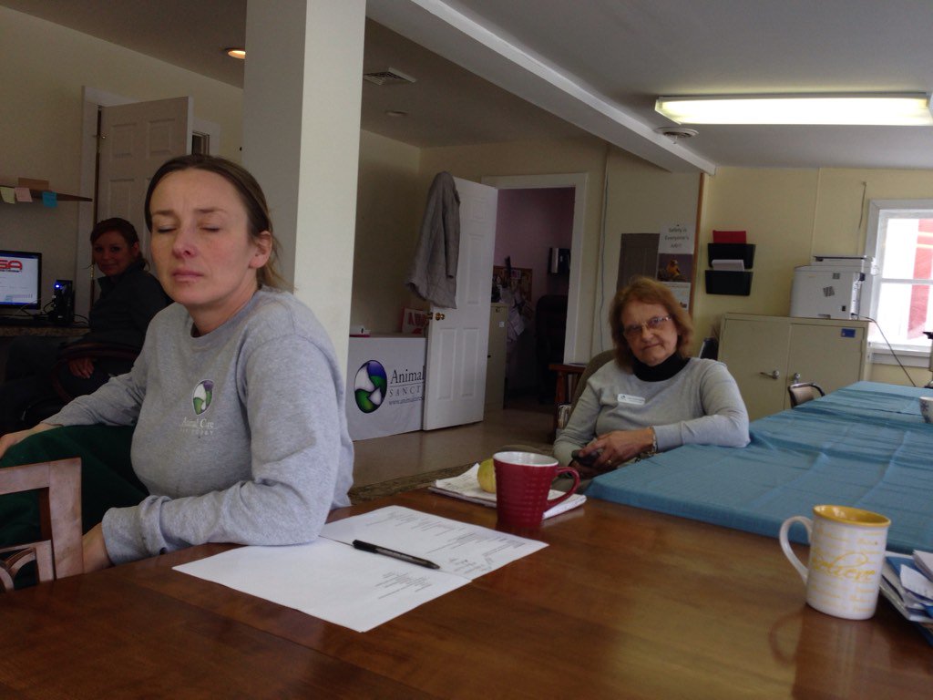 GaGaWebDesignTM's tweet image. 