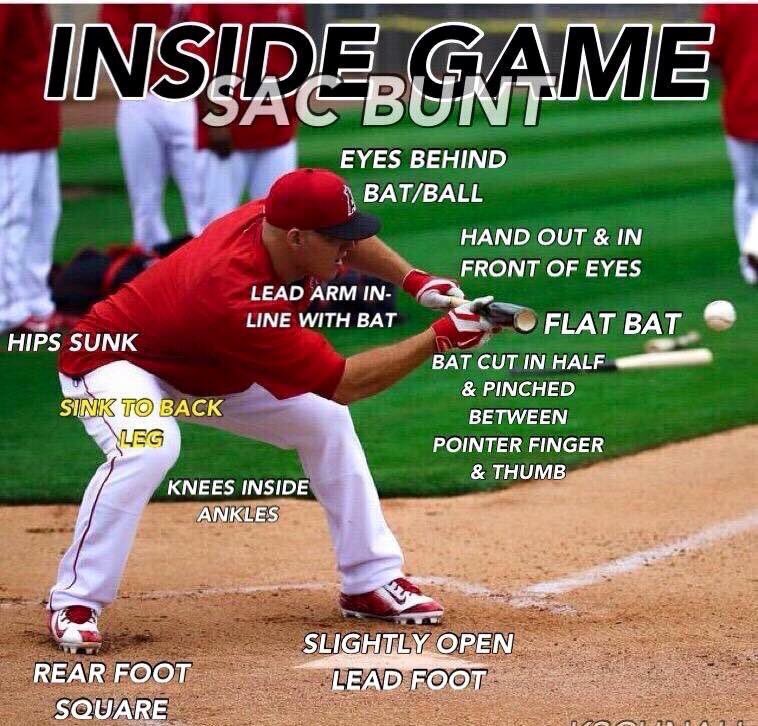 mwhitey27's tweet image. Lost Art! Regardless of your spot in the lineup you should be able to execute a bunt! #CompletePlayer @stlgamers