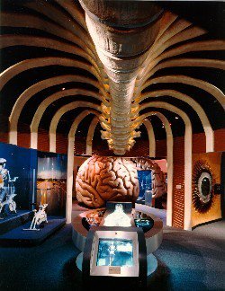There is a 27-and-a-half foot intestine on display at the Museum of Health and Medical Science