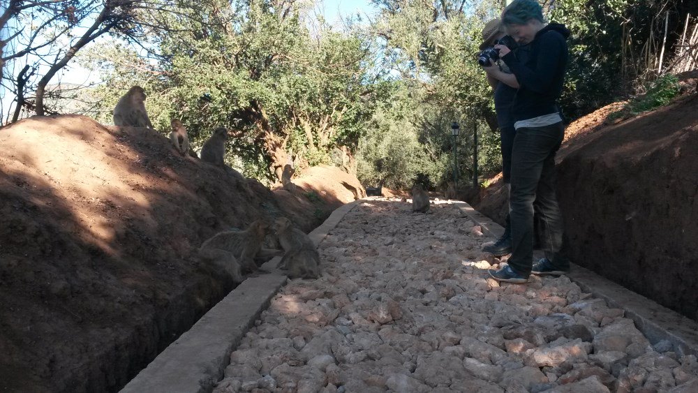 Rallye601's tweet photo. Letztes Jahr haben wir uns ausgiebig die Wasserfälle bei Tageslicht angesehen und sind auch nach Marrakesch gefahren https://t.co/jWSnaI8JgX