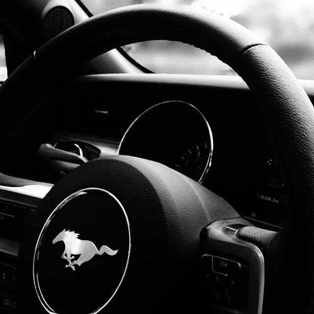 Roling Ford tweet media