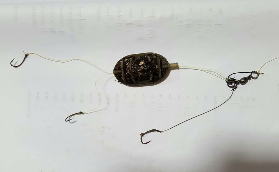 Houseofcommons tweet media