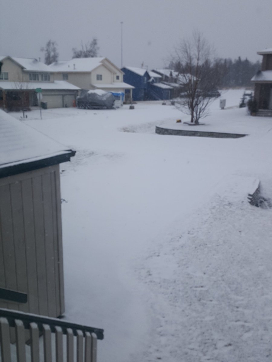 MrsDEMartin's tweet image. #snowfinally! #Alaska just in time for #Iditarod2016?!