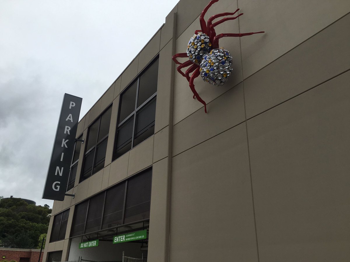 Ryann Blackshere Vargas On Twitter Morganhill Tarantula Art