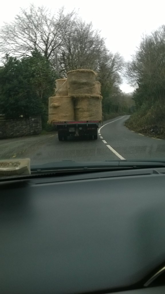 zipidydodaday's tweet image. &quot;@CountryLife100:  #springsnaps  Typical Friday rush hour traffic in Sneem
