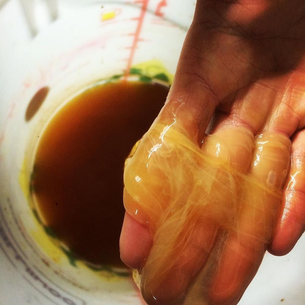 hidden_brighton's tweet photo. Our Somerset cider apple vinegar has a mother! Two days before Mother's Day we're celebrating it's hard work turnin… https://t.co/FeZng0NxHQ