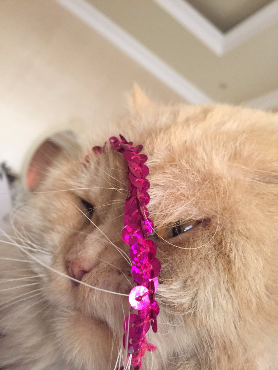 iiiSimba's tweet image. قبيح