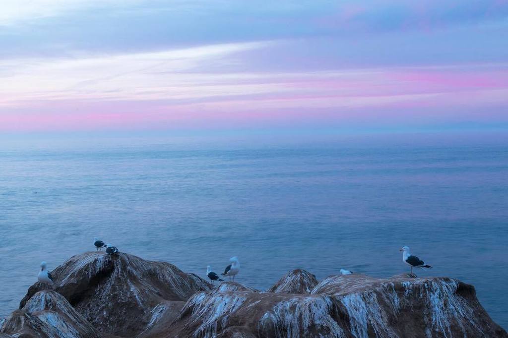 CaTurfPros's tweet image. Don't take shit from anyone, even these guys. Happy Friday. 
#ig_masterpiece #bindebros #watchthisinstagood #califo…