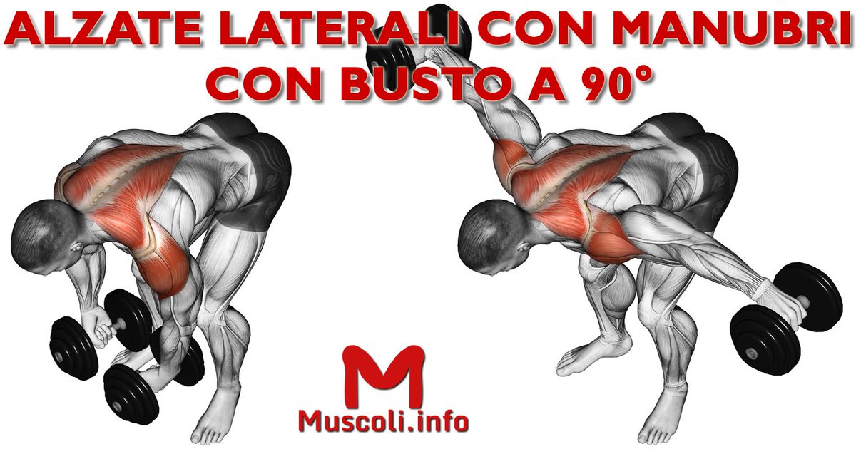 Muscoli_info's tweet photo. https://t.co/2EoT43oE7o
#BodyBuilding #fitness #allenamento #palestra #spalle #deltoidi https://t.co/0tkH17lEjK