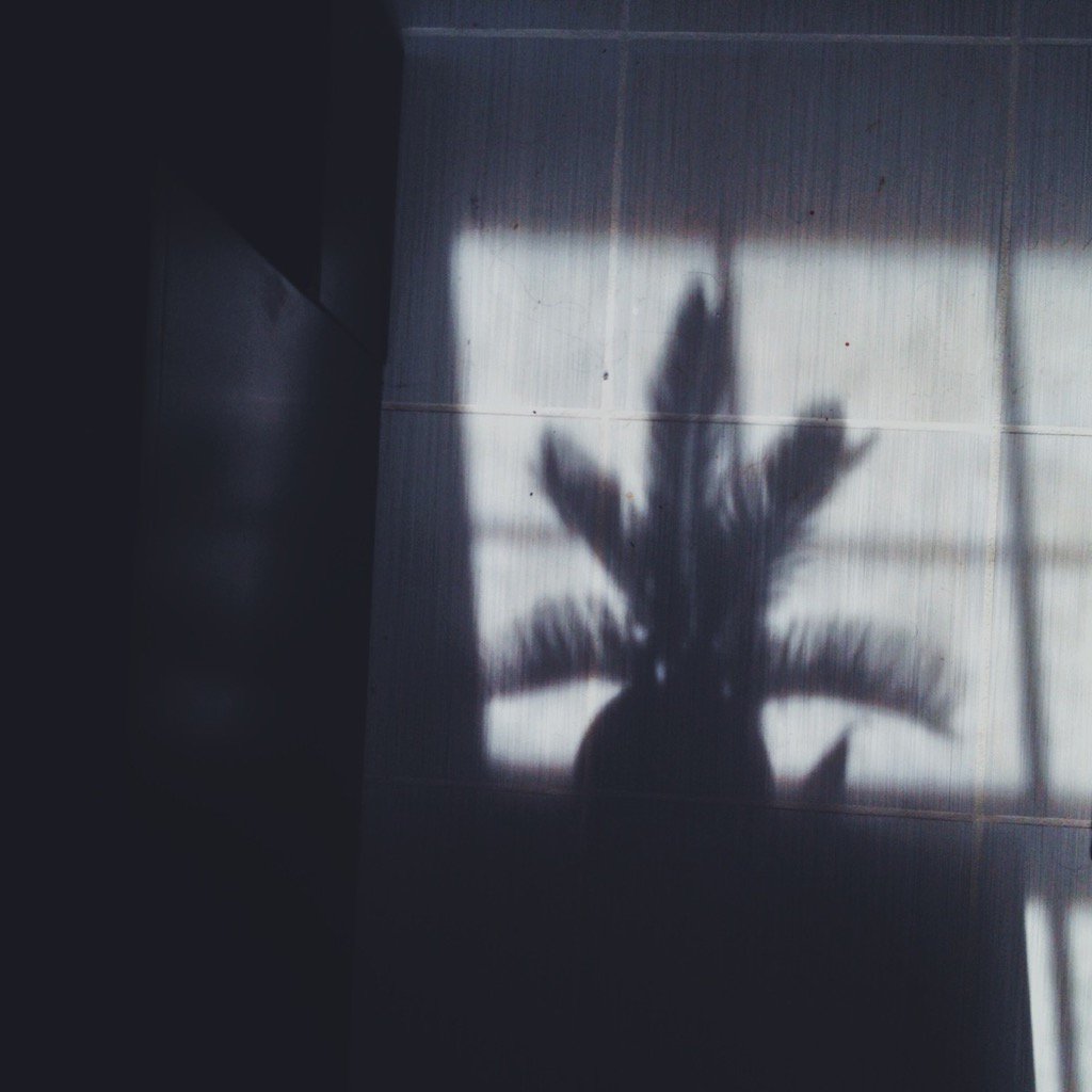 Stacey Bode tweet media