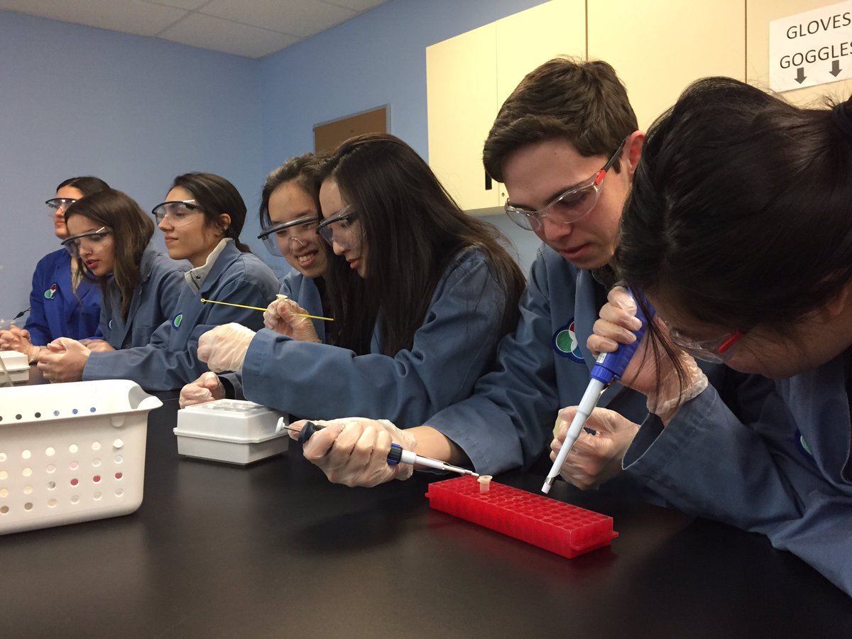 haigscience's tweet image. The grade 12 bio classes are making bacteria glow!! @OntScienceCtr #sciencerules