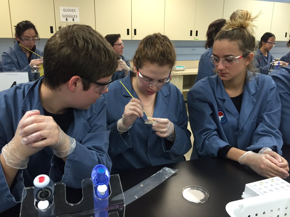 haigscience's tweet image. The grade 12 bio classes are making bacteria glow!! @OntScienceCtr #sciencerules