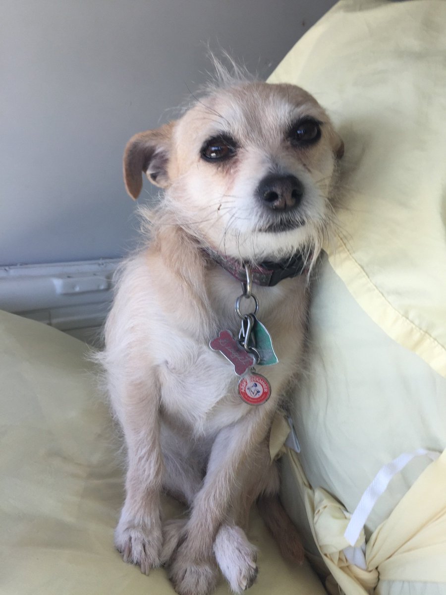 McGidget's tweet image. #sleepy from the road.  Must keep my eyes open!