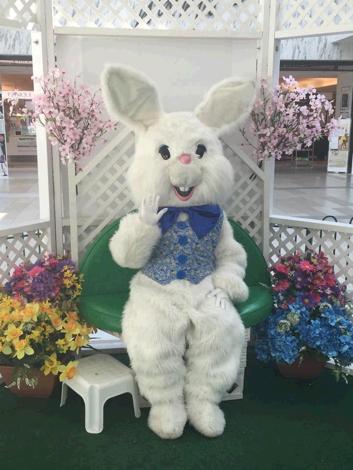 WestfieldSS's tweet photo. The Easter Bunny has arrived!  Click here for details: https://t.co/DHXZzSVySD https://t.co/PomibXgPrj