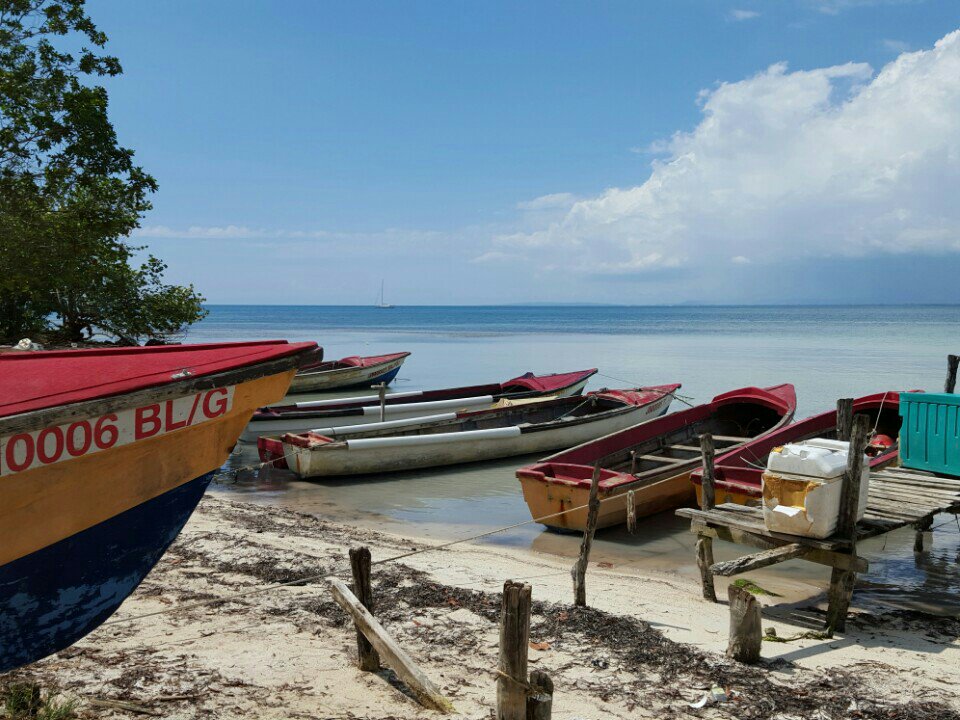 #JamaicaDay #ClimateAction (@ Bluefield's Bay Fish Sanctuary) swarmapp.com/c/hMYORCt574H