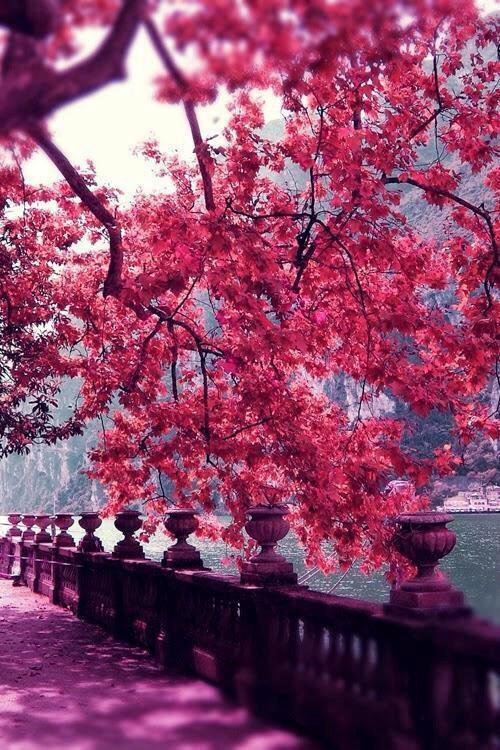 Saffron606's tweet photo. #Nature https://t.co/Bq30jUA6sr