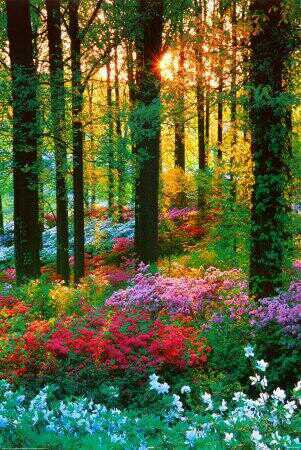 Saffron606's tweet photo. #Poland https://t.co/0EUcVTbuQK