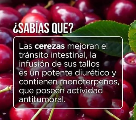 FrutiDeli's tweet photo. Tips Gastronómicos...
#DulcesDetalles
@FrutiDeli https://t.co/i3HFZ4D0CW