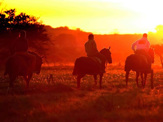 Cabalgata Ibera Full en los esteros del ibera ... experiencia unica en Ea Las Casuarinas Familia Maz Alegre