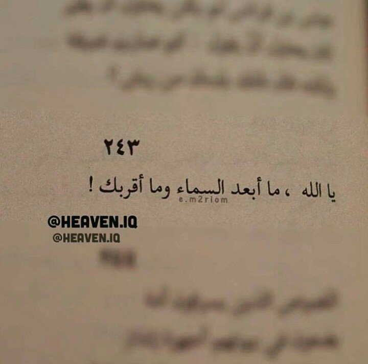Taif Saad (@taifsaad44) on Twitter photo 