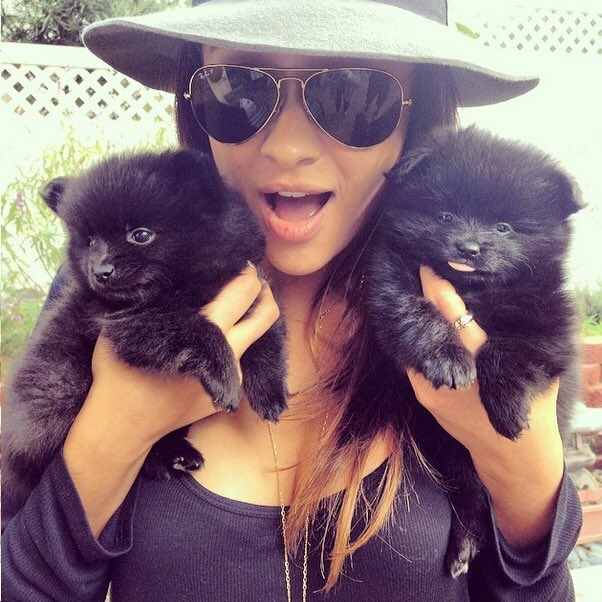 Puppies!