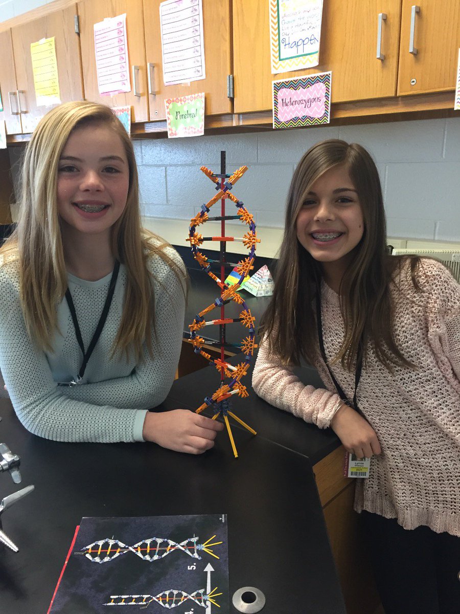 Llang32's tweet image. DNA gurus! #noinstructionneeded #nextgen #Knex #wallin