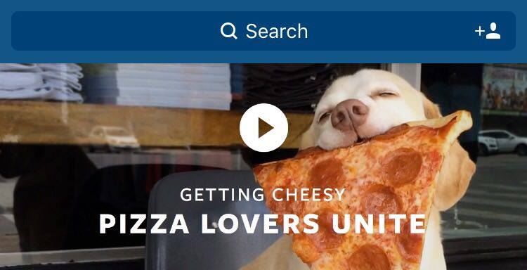 Pizza has never looked so precious. 🍕 Videos are now on Explore 🔍 #PizzaLoversUnite