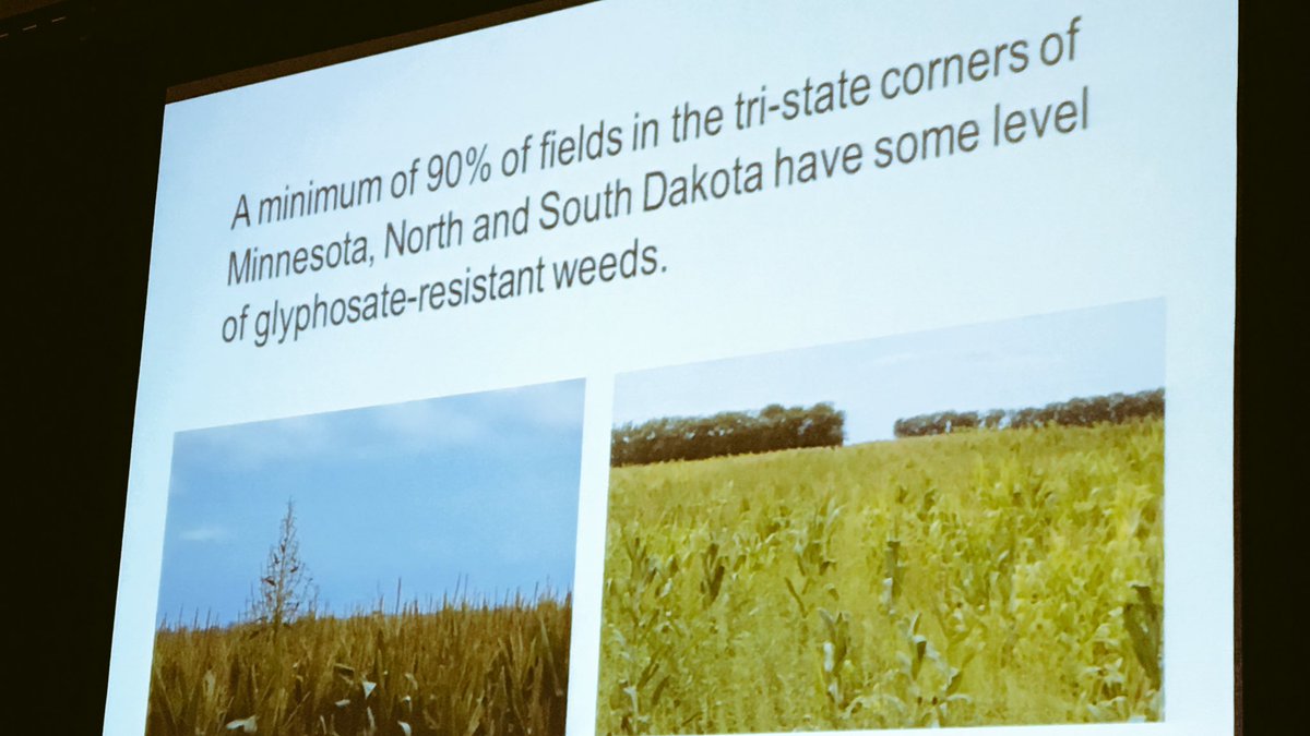 MS Technologies tweet media