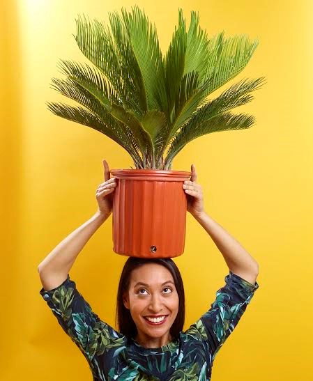 BoulevardQ's tweet photo. "Failure does not scare me"- @TheSill Founder Eliza Blank: https://t.co/rii8A0HbIM #Innovators #Design #Interview https://t.co/umbFmyTSvt
