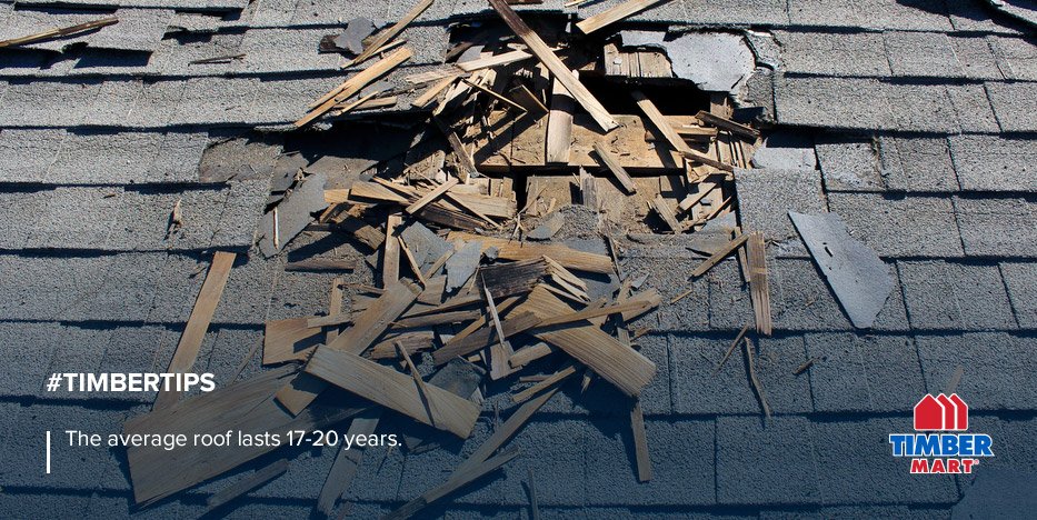 _TIMBERMART's tweet photo. What signs should you check for in the status of your roofs condition? https://t.co/Fo5rzIXvjO #TimberTips https://t.co/aLXccf1dd7