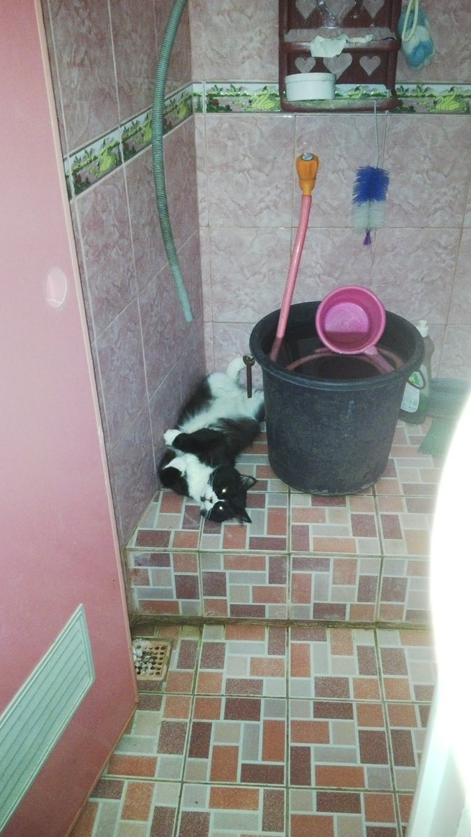 pagi" si kevin ngambek minta d mandiin