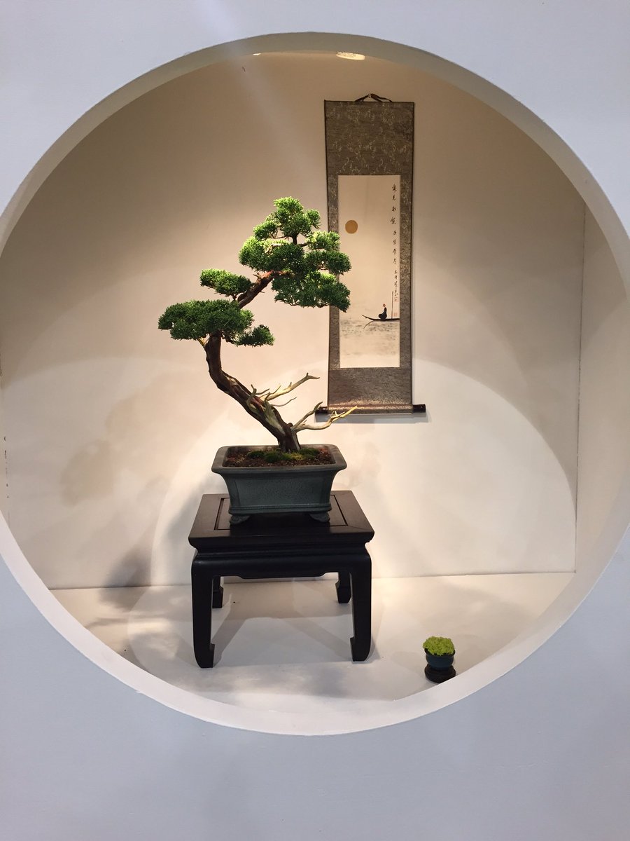 Bonsai ID (@BonsaiIndonesia) / Posts / X