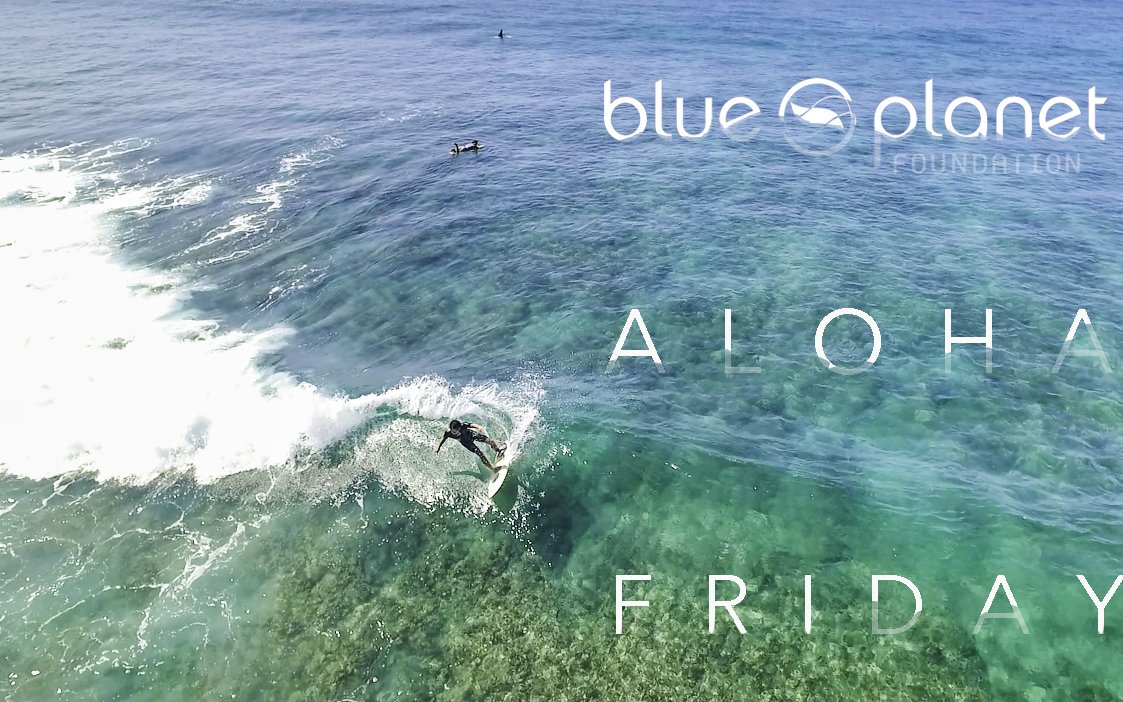 wefficiency's tweet image. Happy Aloha Friday! Hope your weekend is full of #HumanPoweredAdventures. #100PercentHawaii  PC: Reggie Padilla