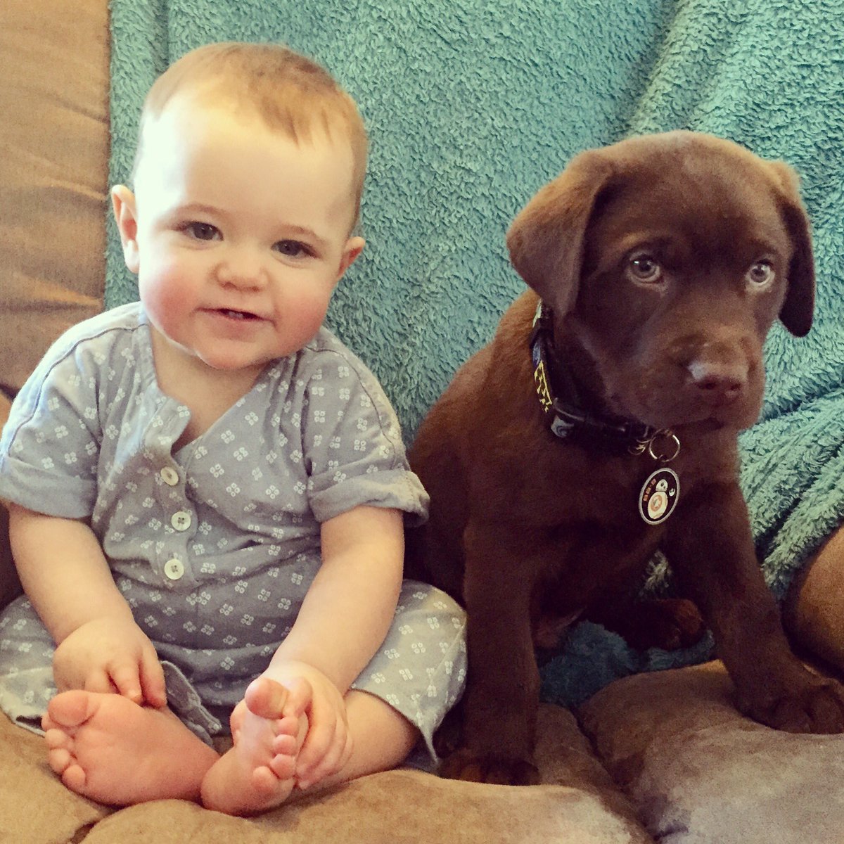 melissa_morelli's tweet photo. @TheEllenShow https://t.co/5FGFVOWgmA