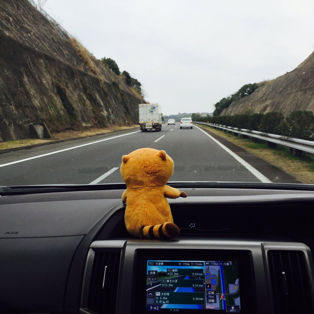 Rascal_koke's tweet image. 昨日はこけちゃんドライブしてきました😊