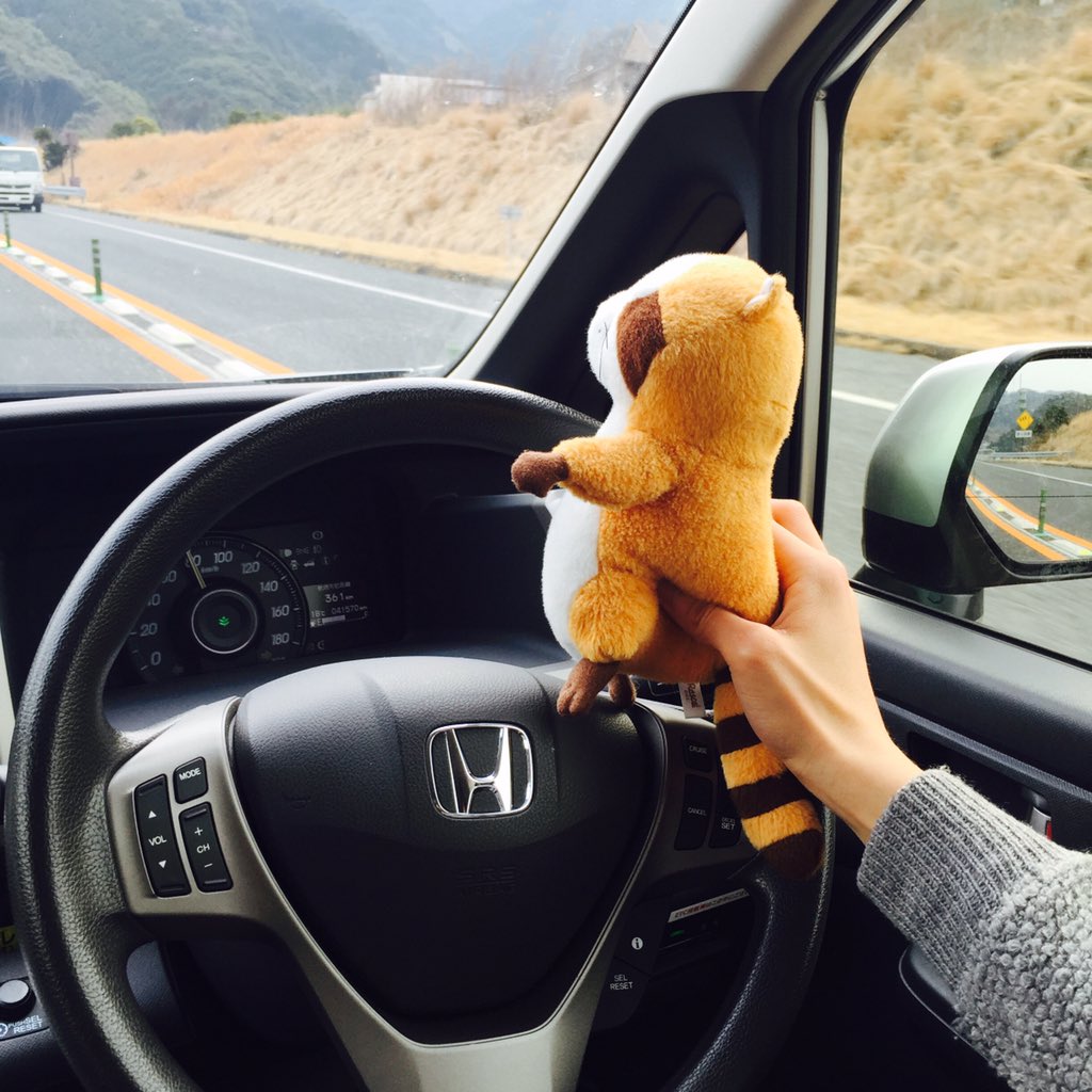 Rascal_koke's tweet image. 昨日はこけちゃんドライブしてきました😊