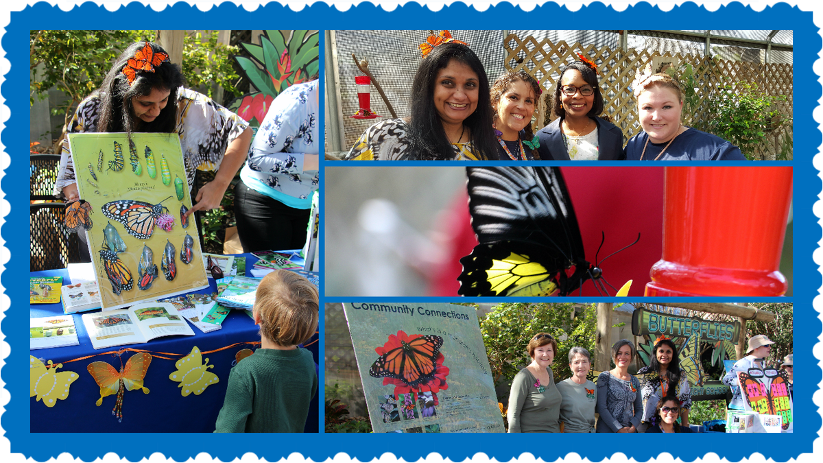 sanantonioriver's tweet photo. Had a blast at today's #MonarchFest! Join us tomorrow for more fun and educational activities at the @SanAntonioZoo https://t.co/Pkk5X3sTL8