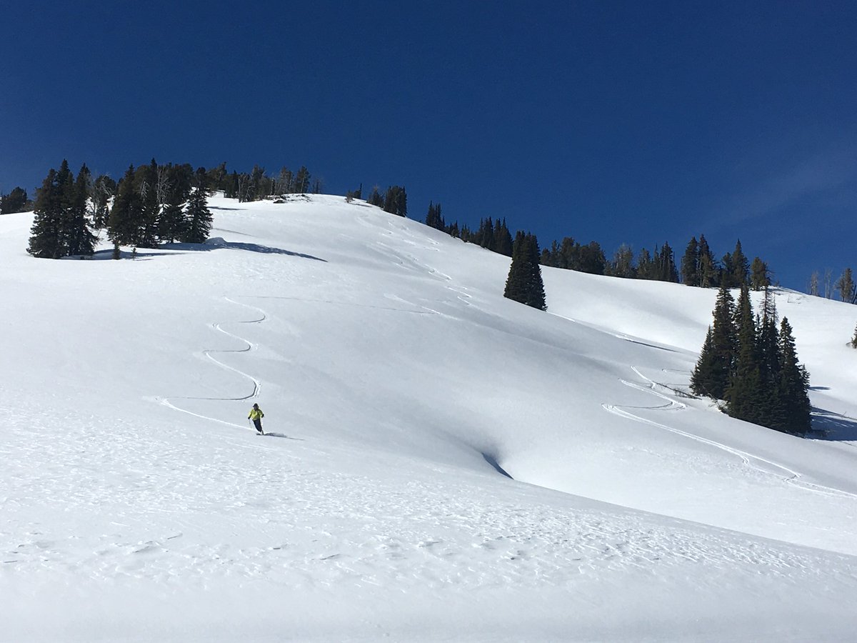 yellowstonefilm's tweet photo. Can't #ski across #Yellowstone without ditching the pack and getting some turns in! #telemark #earnyourturns https://t.co/GTKCnine7L