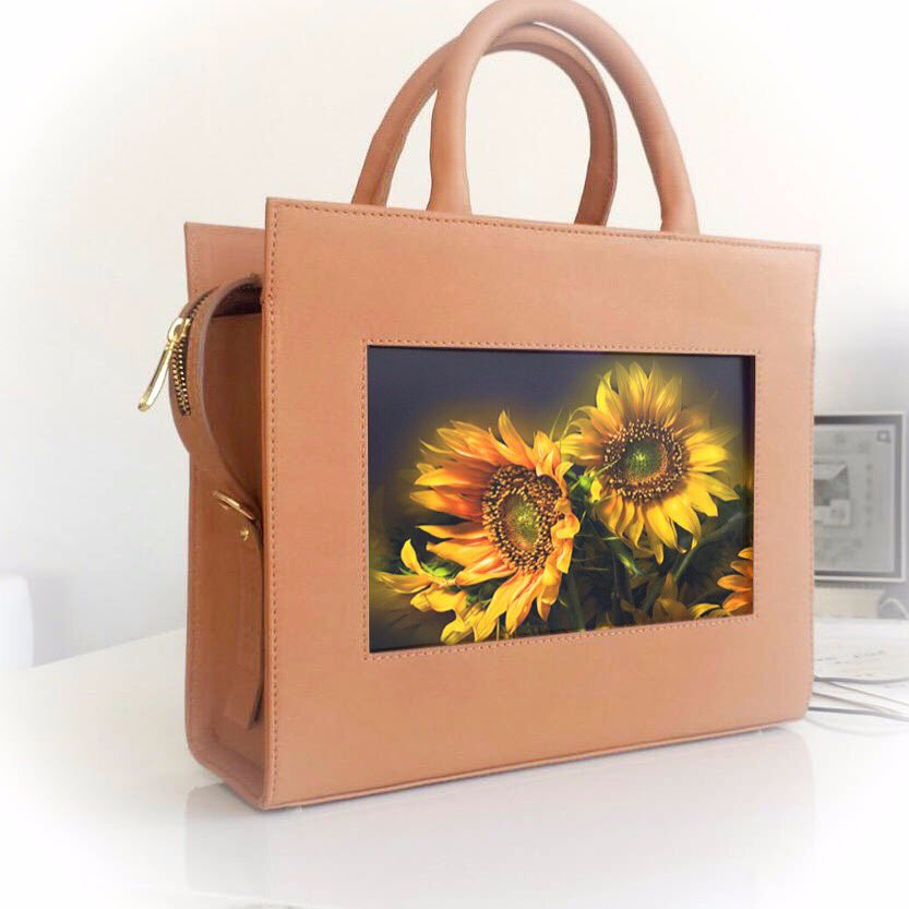EvolutionBag tweet picture