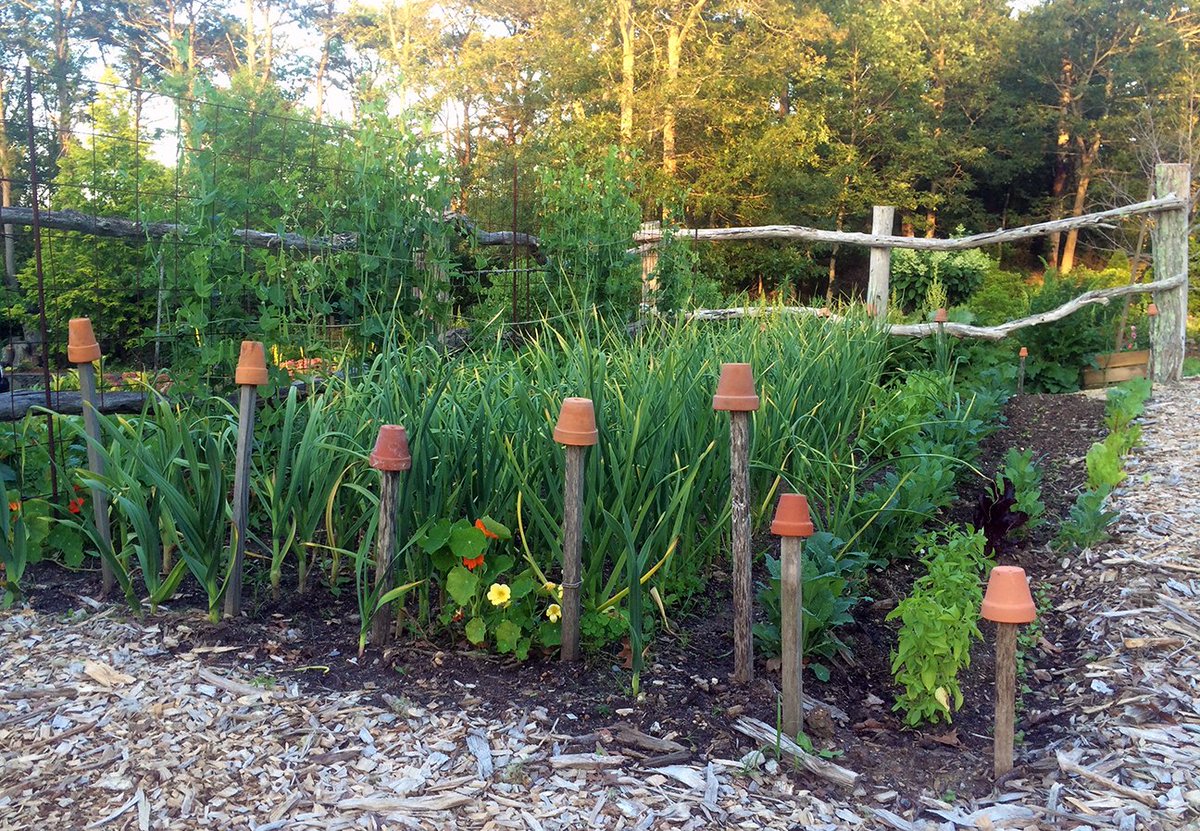 thegardenlady's tweet photo. Gardeners! Post #mykitchengarden A virtual #kitchengardentour inspired by @FLOTUS @whkitchengarden @GardenWriters https://t.co/dmrztcviXK