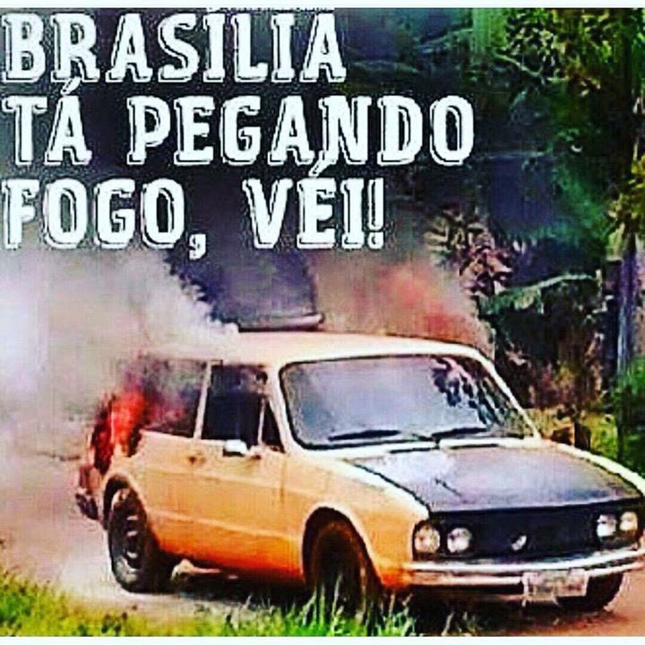 Fernanda tweet media