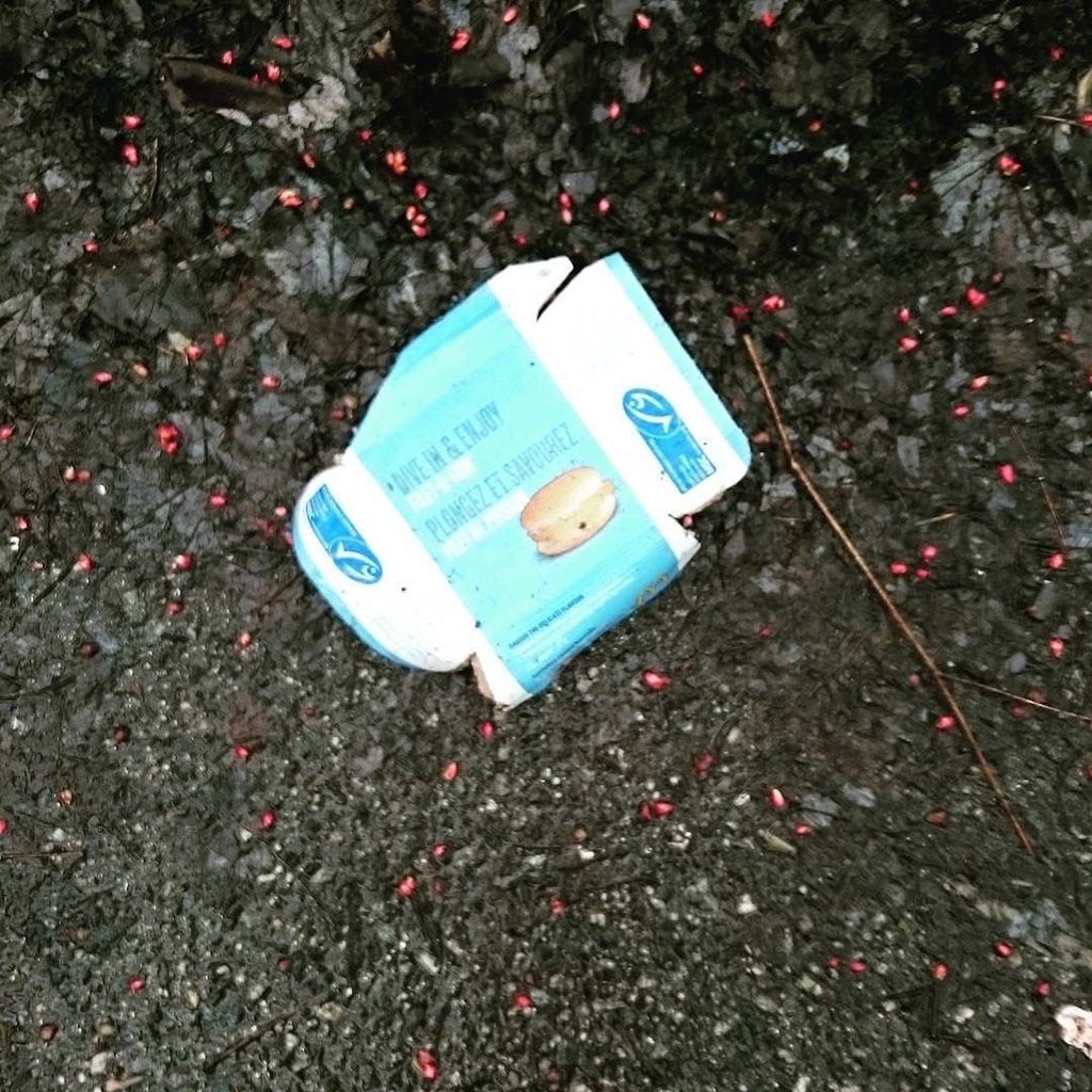McTrashYVR's tweet photo. #mcgarbage #mcdonalds https://t.co/GOm3bixqjx retweet to ask @McDonalds &amp; @McD_Canada trash off the streets of #Va… https://t.co/zEKderD9Sj