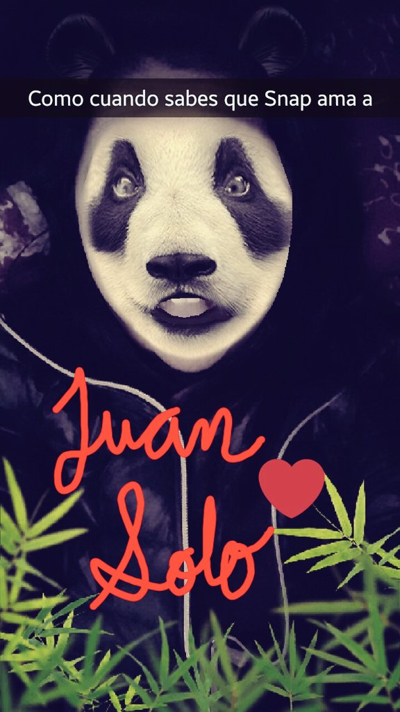 _Baap's tweet image. @soyjuansolo #PandaModeOn 💖🙈🐼
